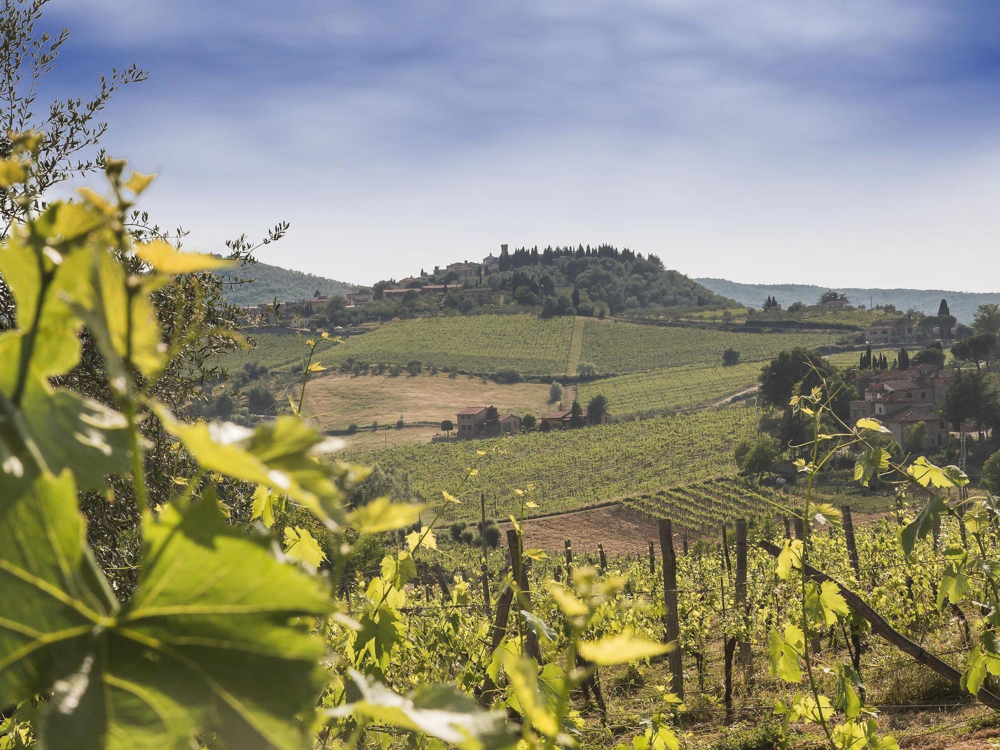 Relais Santa Cristina ξενώνας Radda in Chianti Εξωτερικό φωτογραφία